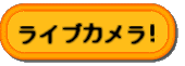 ライブカメラ設置中